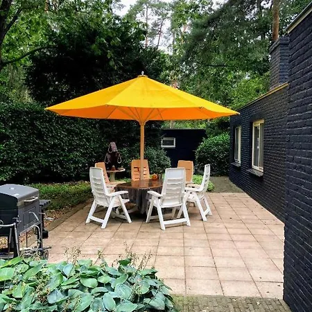 Boshuisje Met Uitzicht Op Het Park